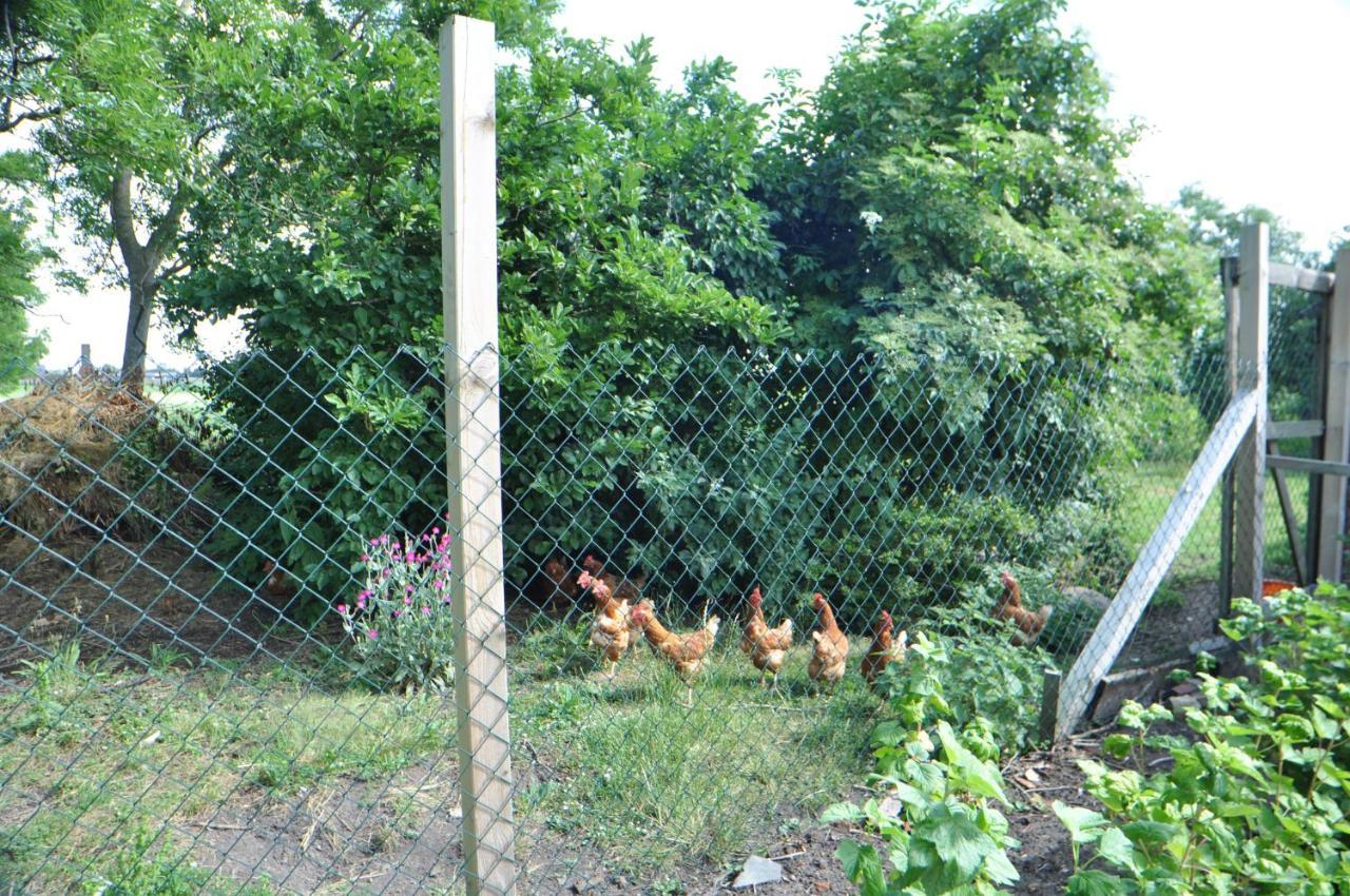 Ferienwohnung Landliebe 65347 Moormerland Екстер'єр фото